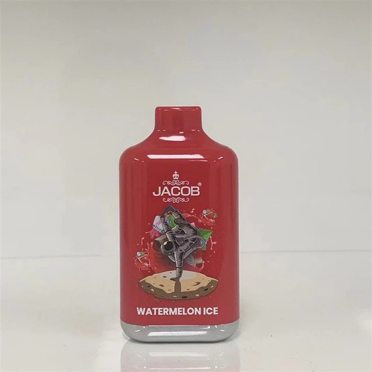 Wholesale Fruity Flavors Disposable Vape With 10000 Puffs